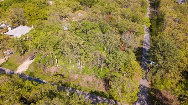 a view of a forest with lush green forest