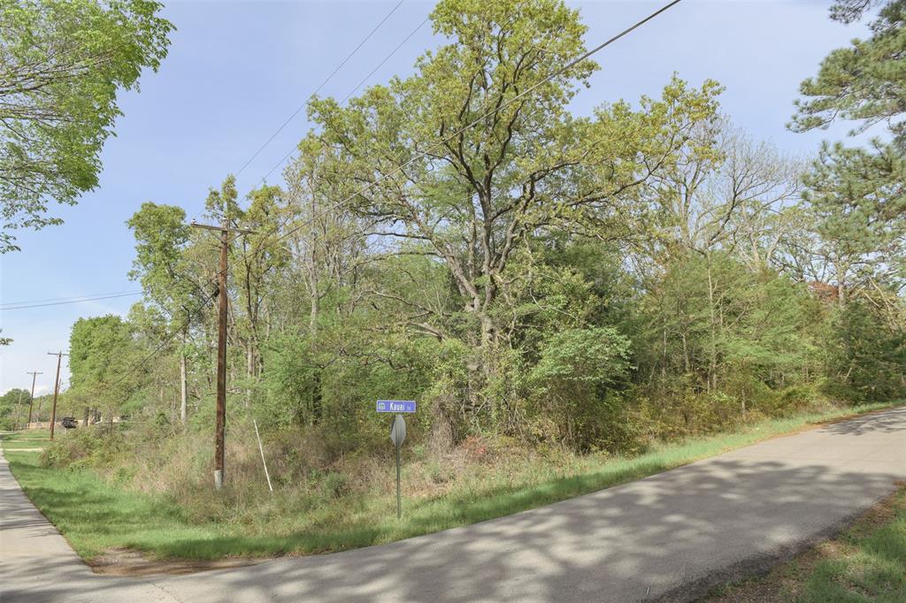 1366 Utopia Road Tool, TX 75143 - Photo 15 of 26