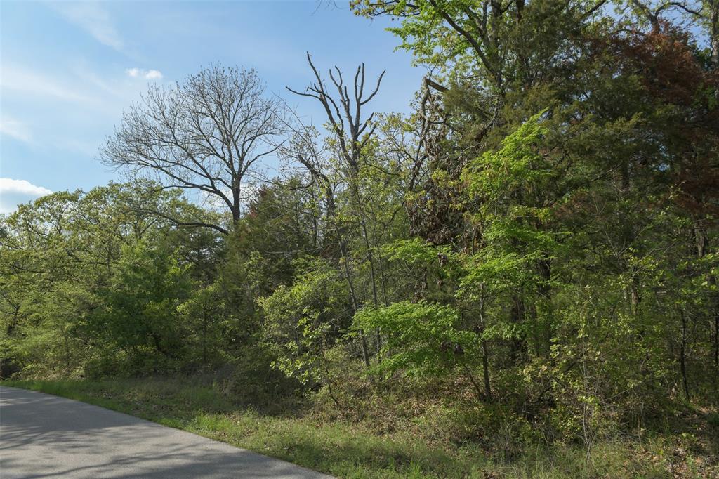 1366 Utopia Road Tool, TX 75143 - Photo 16 of 26 a view of a house with a tree