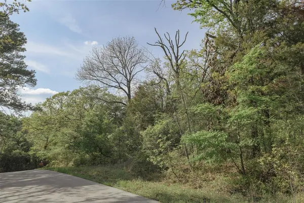 a view of a pathway both side of a road