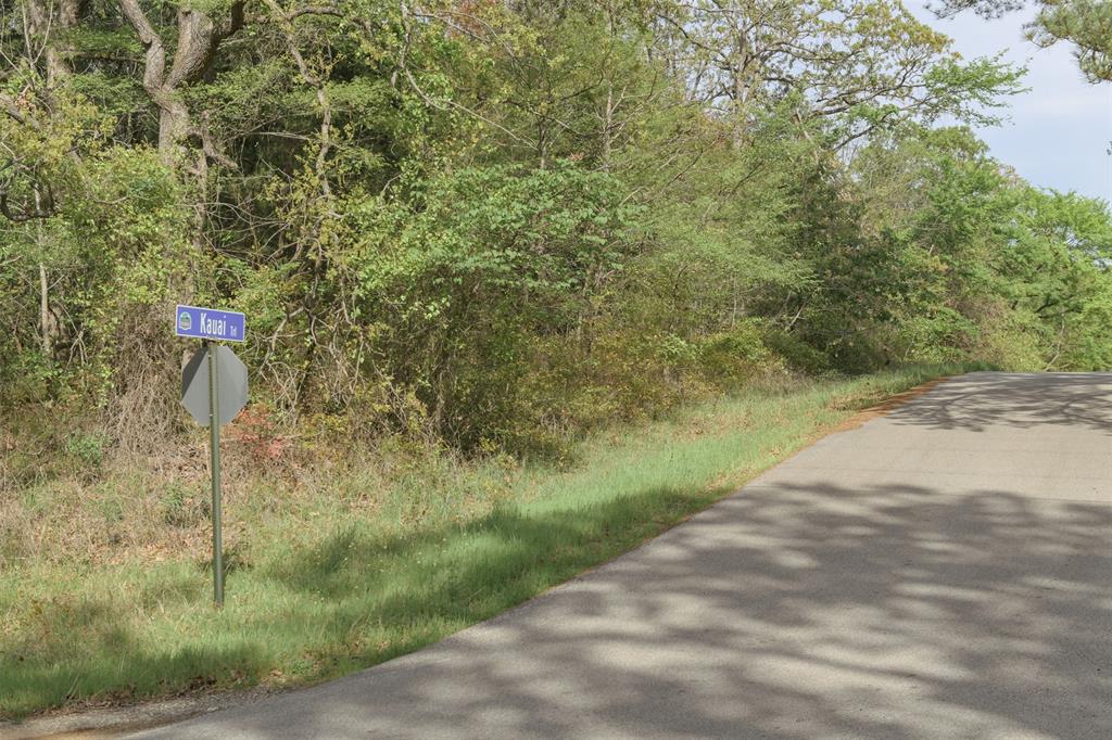 1366 Utopia Road Tool, TX 75143 - Photo 20 of 26 a view of a wooden fence