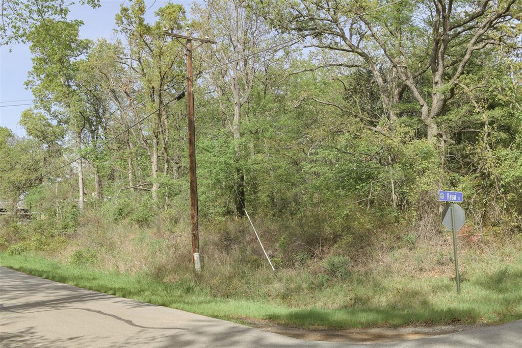 1366 Utopia Road Tool, TX 75143 - Photo 21 of 26 a view of a pathway both side of a road