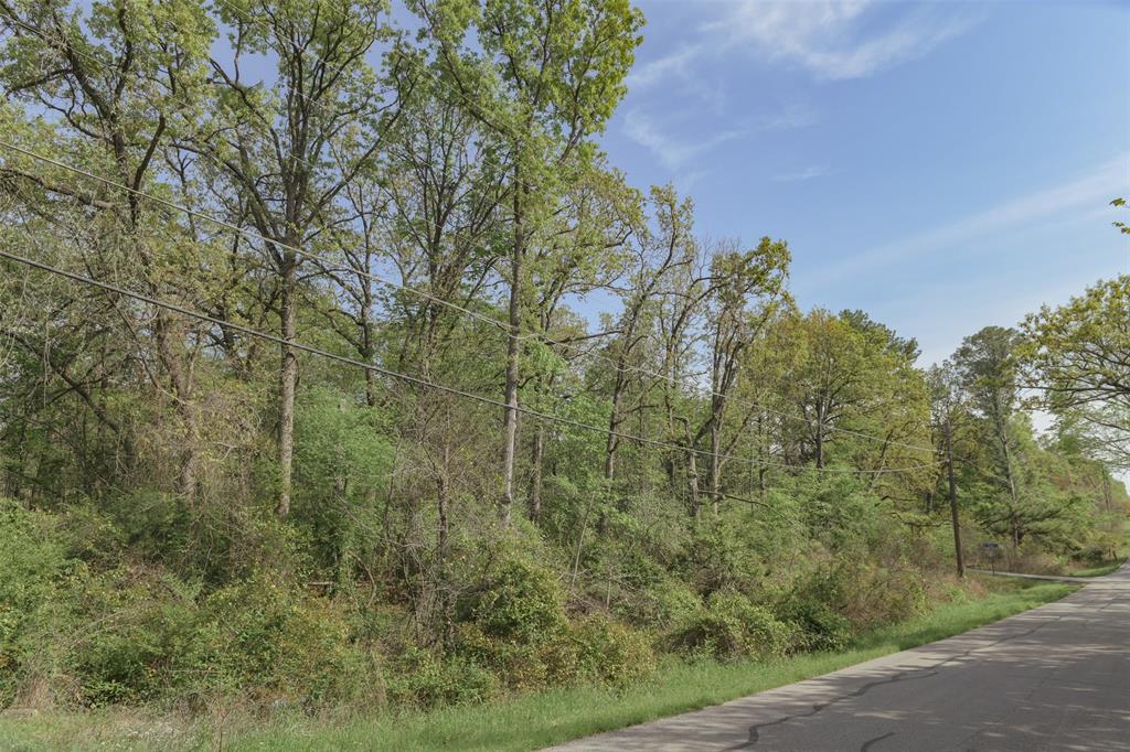 1366 Utopia Road Tool, TX 75143 - Photo 24 of 26 a view of a forest with a street