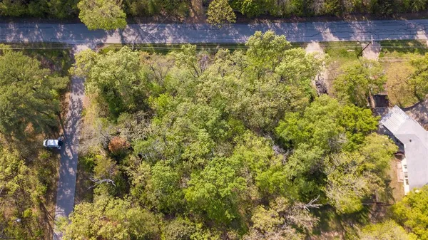 a view of a plants and trees