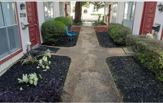 a view of a backyard with plants