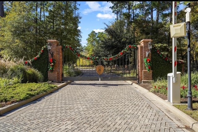 325 Copa Palm Loop Montgomery, TX 77316 - Photo 9 of 9 a view of outdoor space and street view