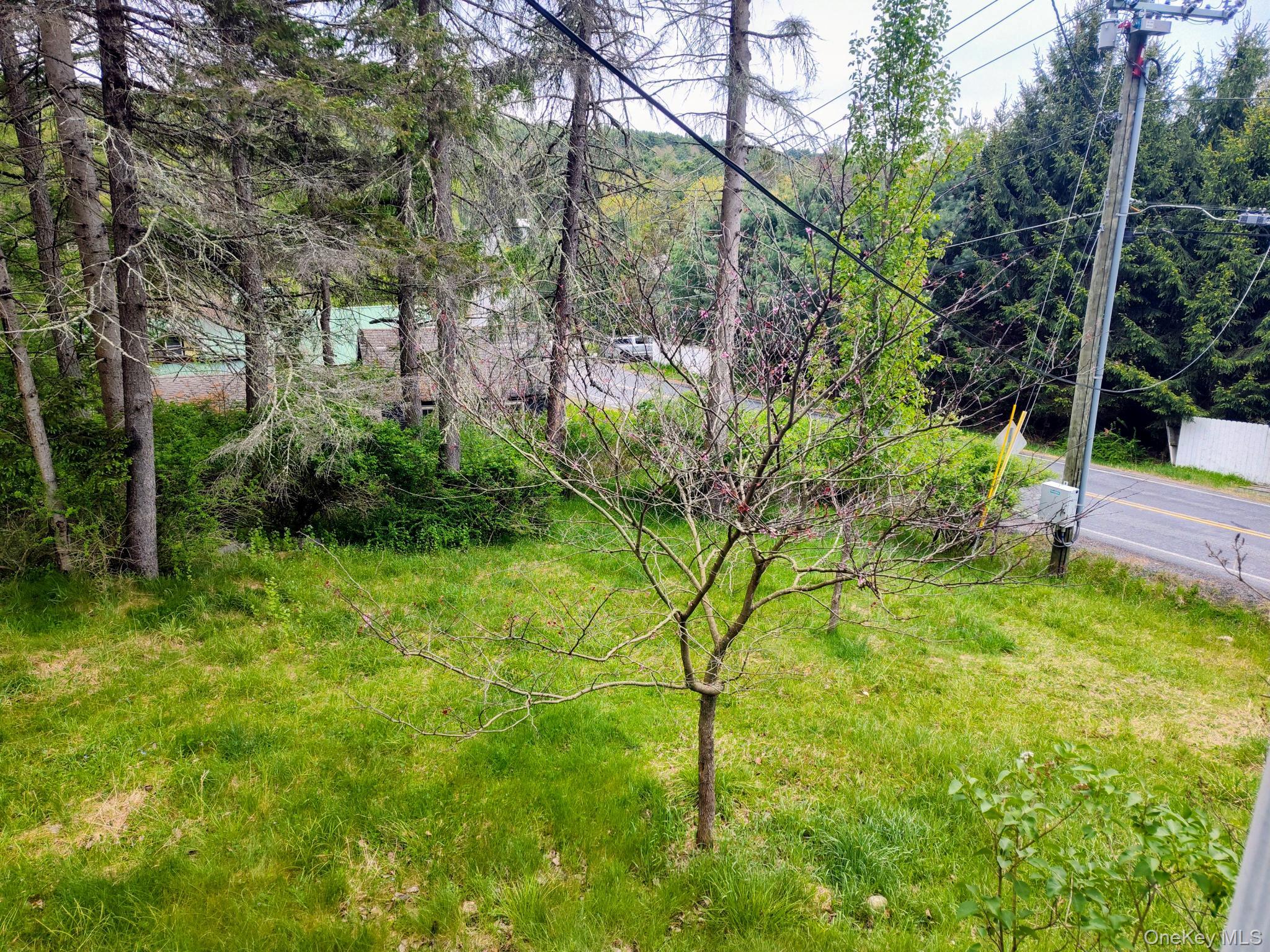 174 Forestburgh Road Forestburgh, NY 12777 - Photo 21 of 28 a backyard of a house with lots of green space
