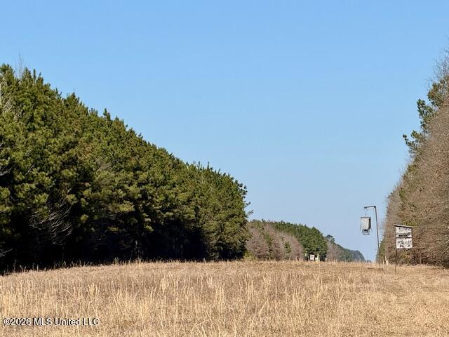 Debutte Road Bastrop, LA 71220 - Photo 21 of 28 IMG_7574
