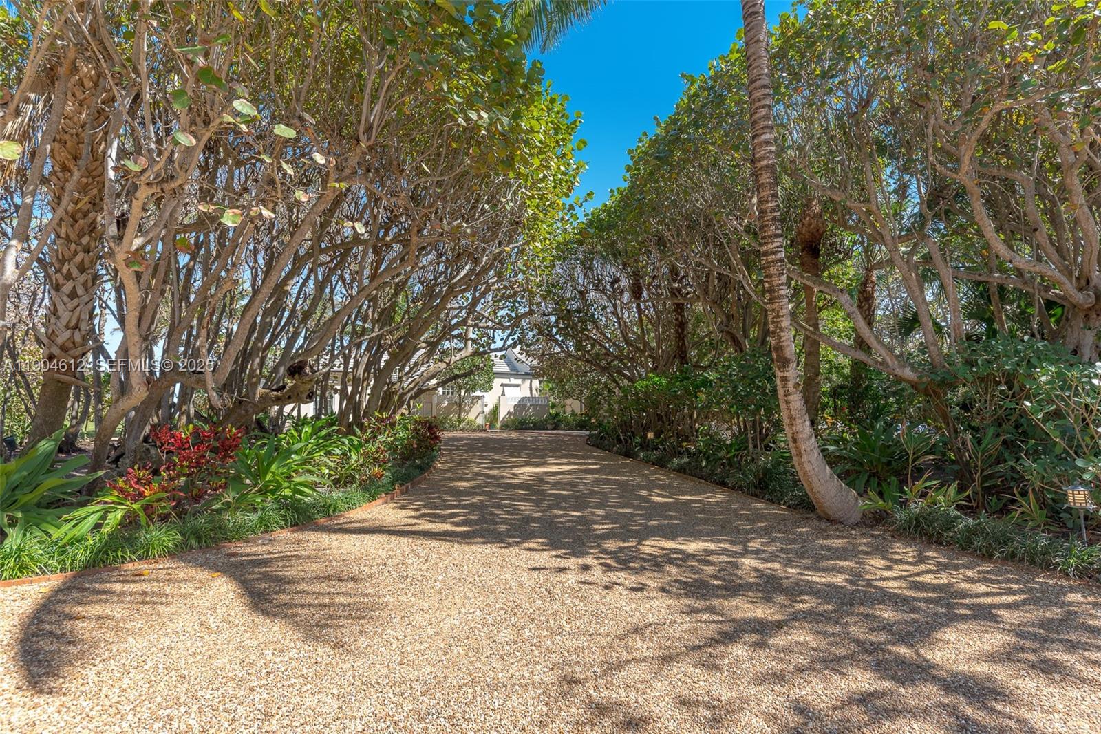 247 South Beach Road Jupiter Island, FL 33455 - Photo 22 of 71 a view of a yard with plants and trees