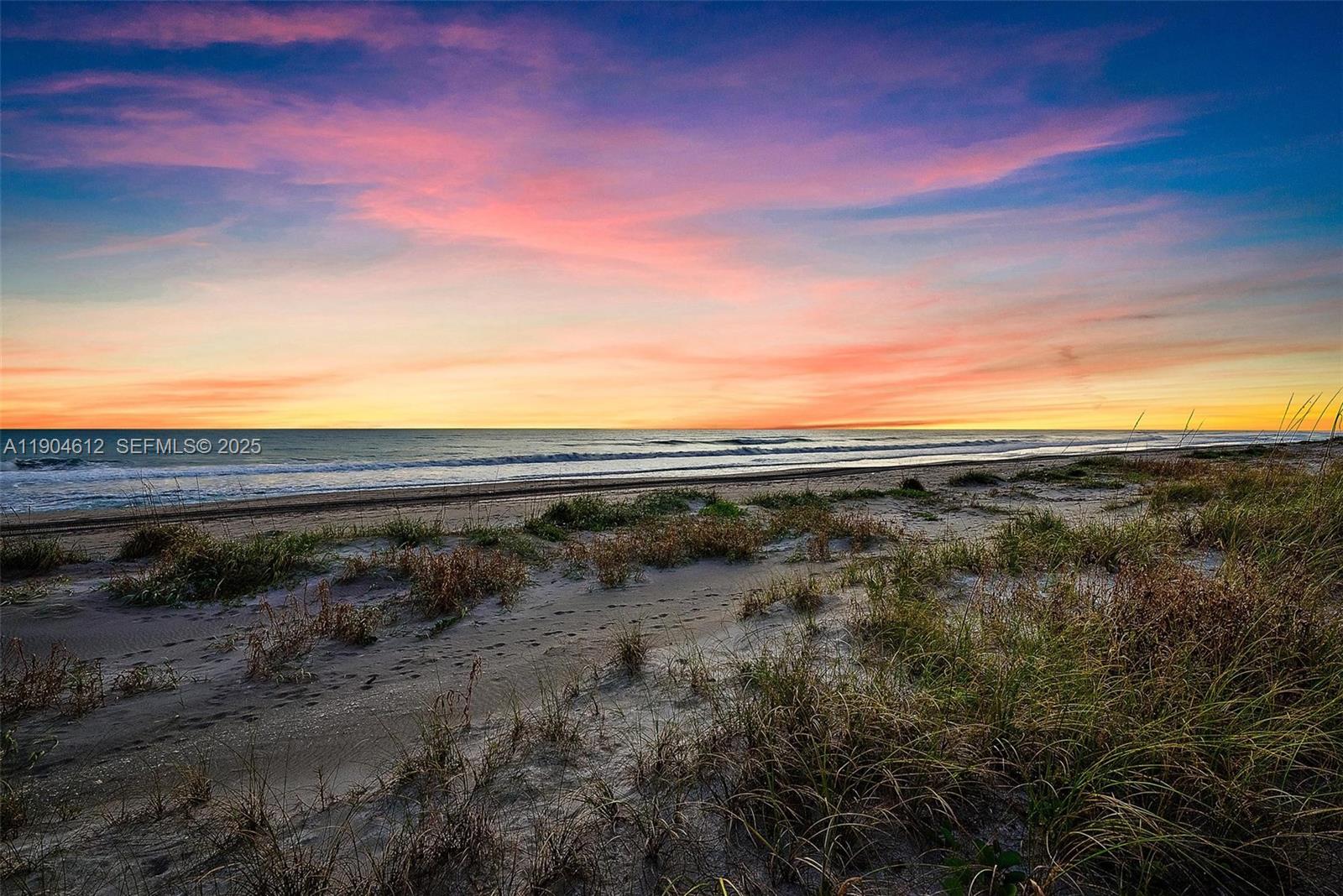 247 South Beach Road Jupiter Island, FL 33455 - Photo 56 of 71 a view of a yard