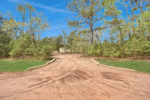 a view of large yard with large trees