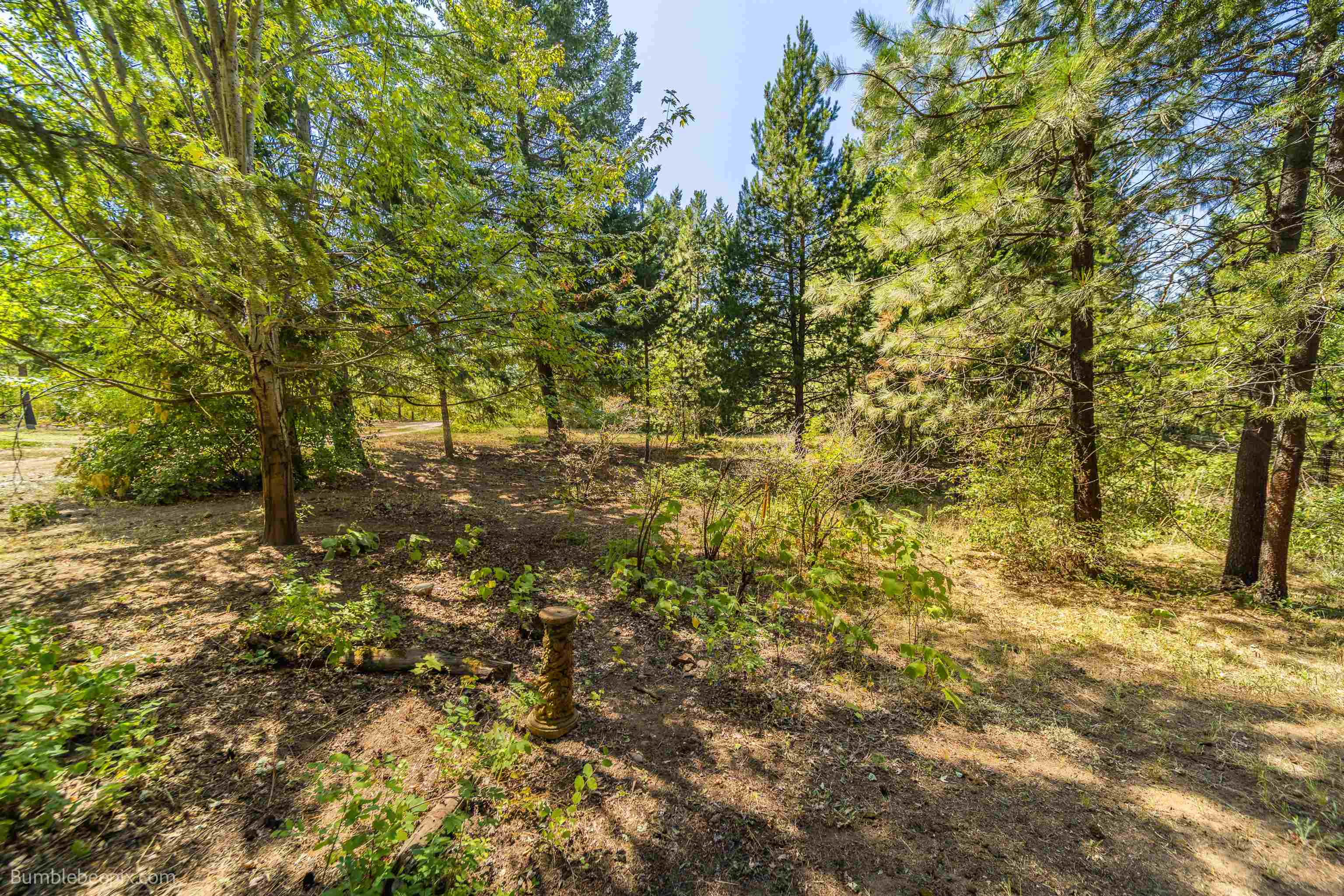 5002 Camden Road Newport, WA 99156 - Photo 36 of 50 Gallery Image 36