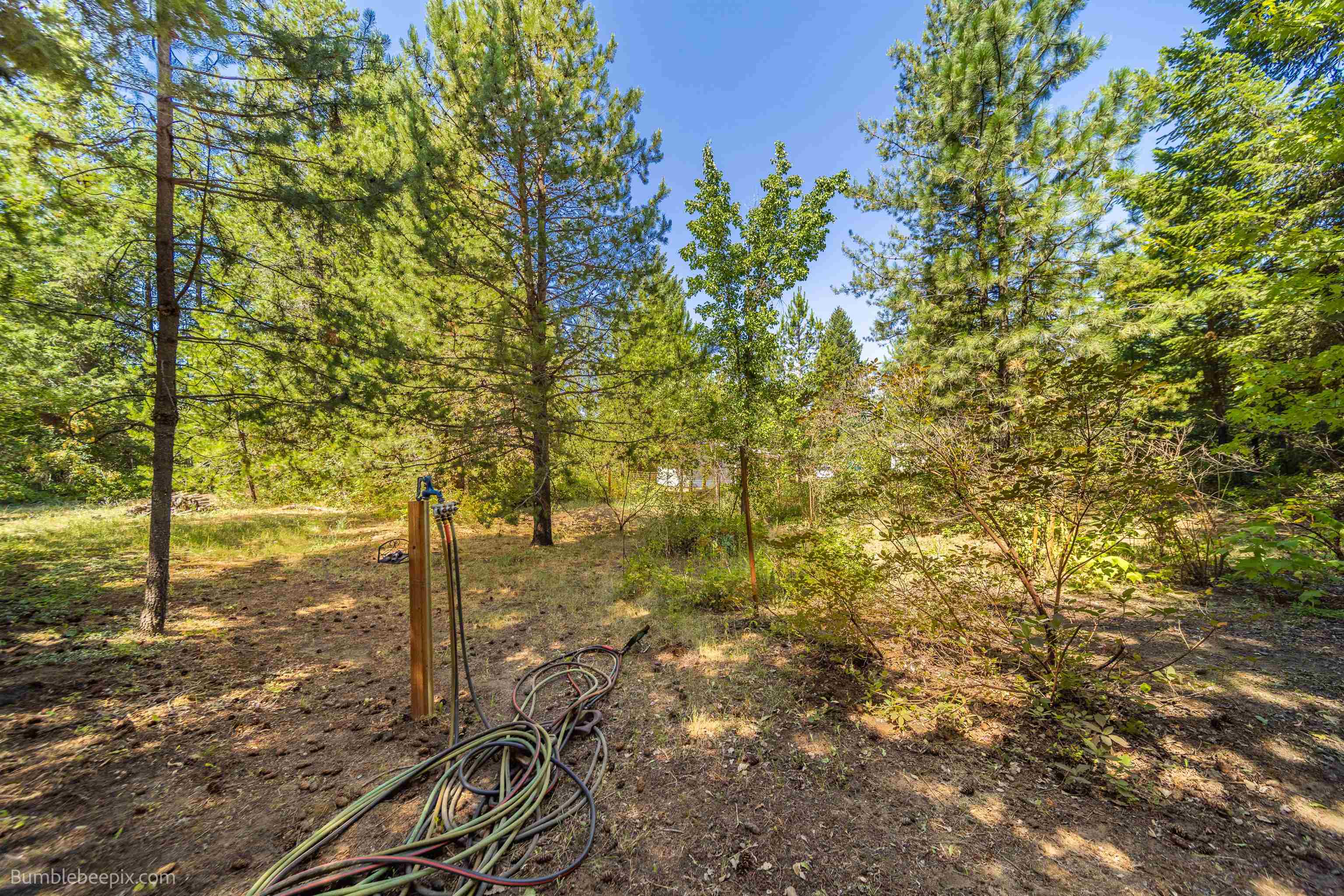 5002 Camden Road Newport, WA 99156 - Photo 37 of 50 Gallery Image 37