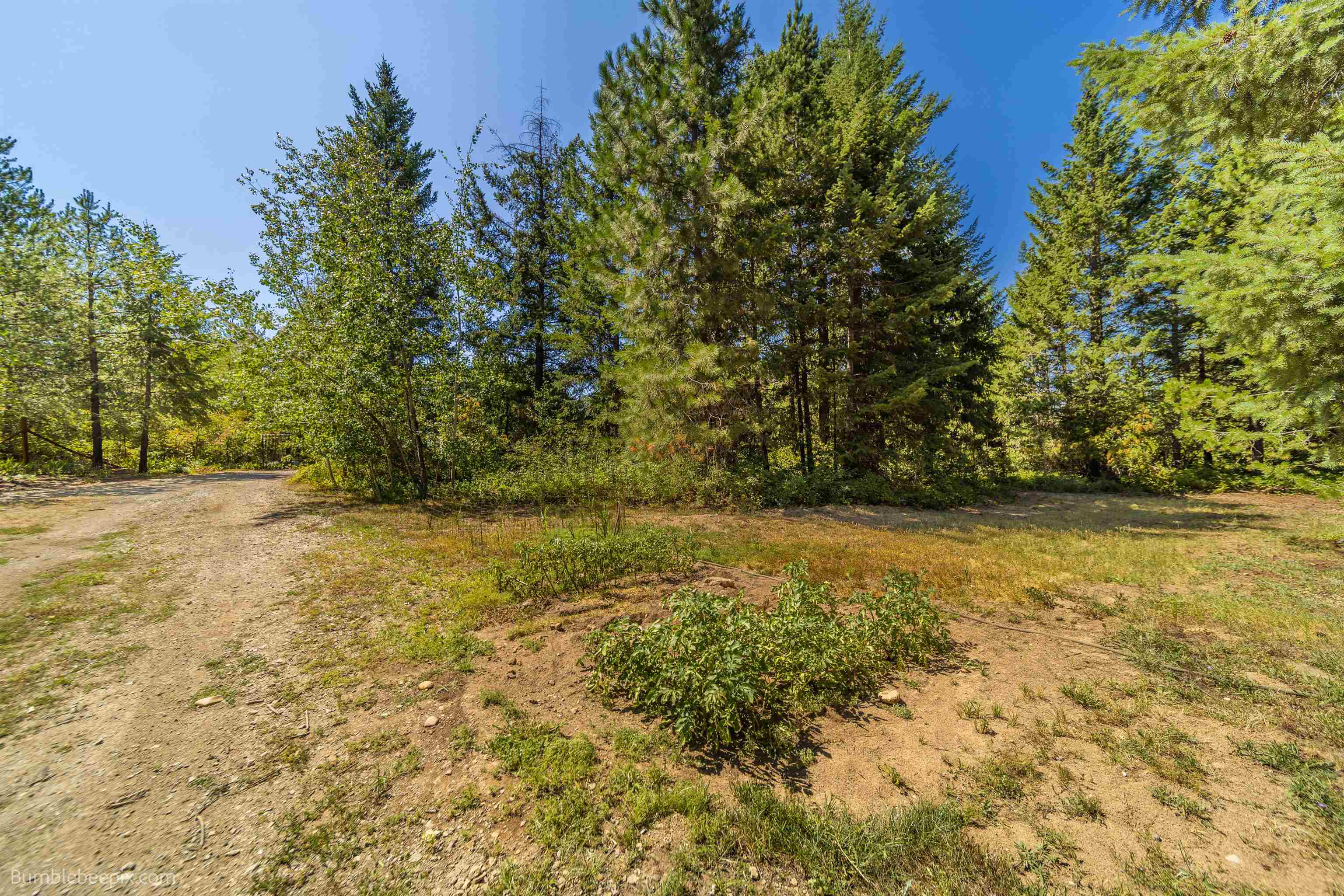 5002 Camden Road Newport, WA 99156 - Photo 38 of 50 Gallery Image 38