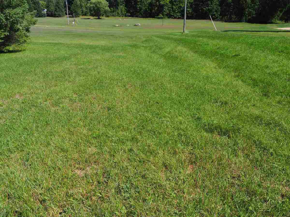 4106 Waug Road Benzonia, MI 49616 - Photo 27 of 30