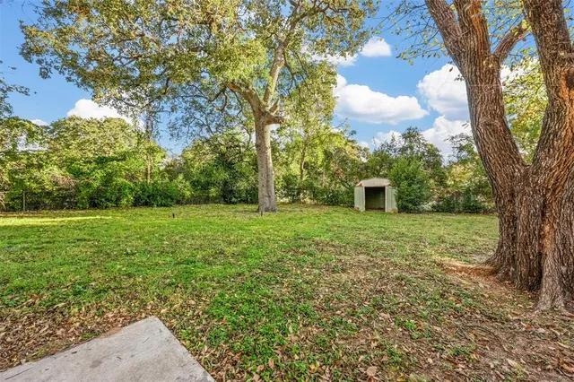 a green field with lots of bushes