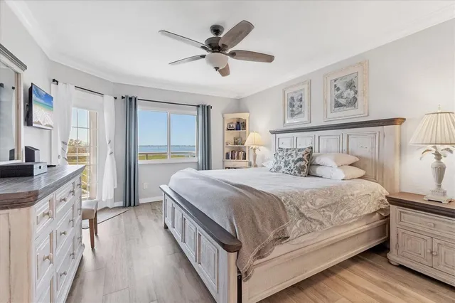 a view of a swimming pool with a chair and palm trees