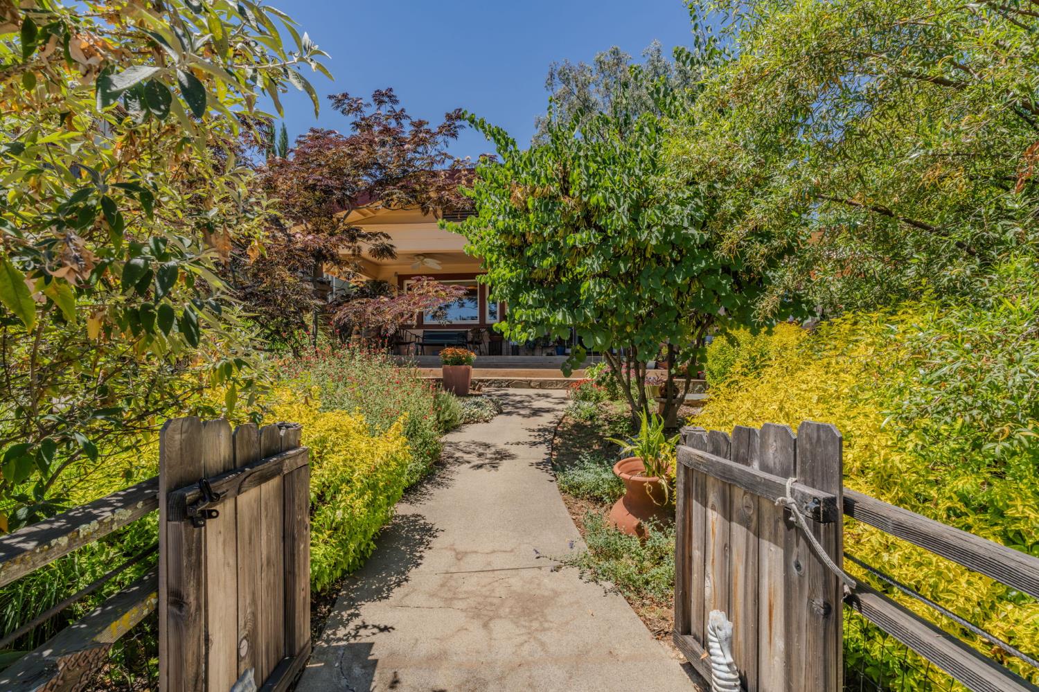 419 Rex Avenue Jackson, CA 95642 - Photo 55 of 90