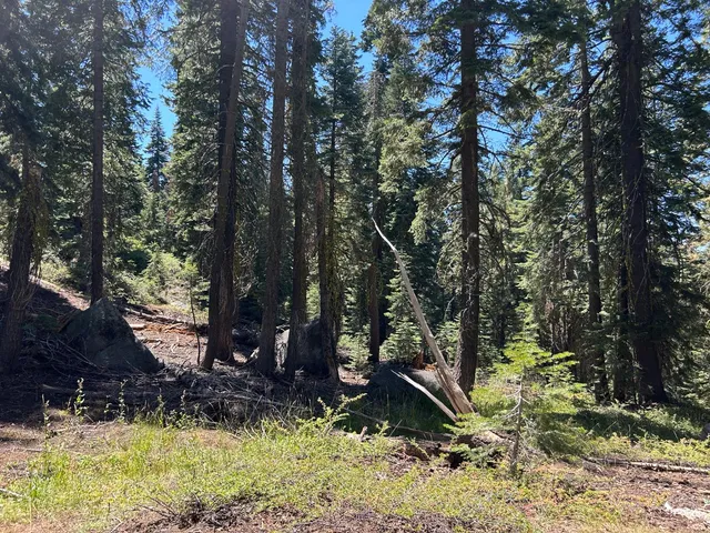 $55,000 | 2 Blue Rock Trail, Unit 2, Arnold, CA 95223