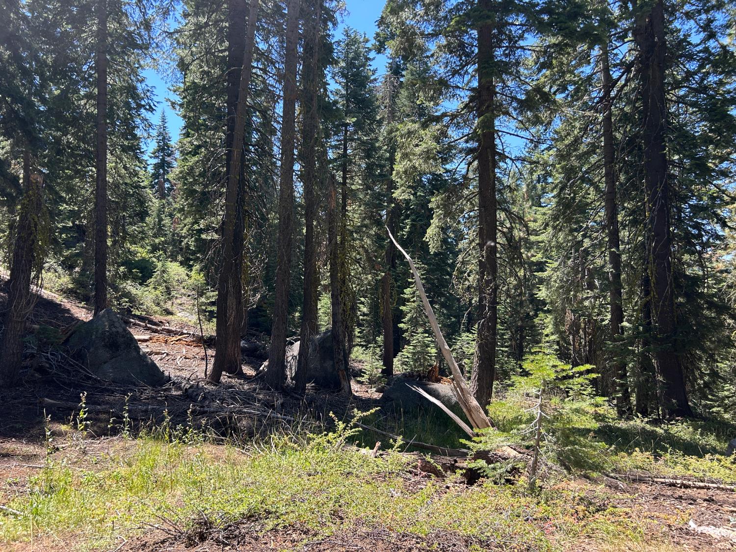 2 Blue Rock Trail, Unit 2 Arnold, CA 95223 - Photo 11 of 17