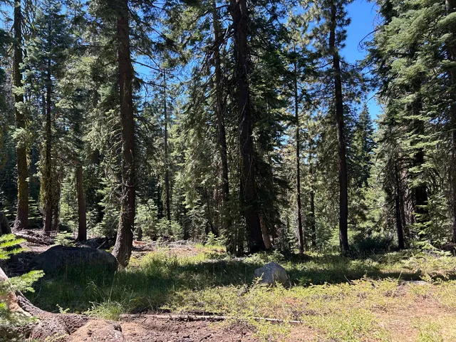 $55,000 | 2 Blue Rock Trail, Unit 2, Arnold, CA 95223