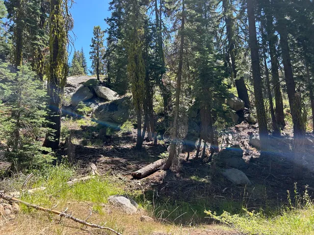 $55,000 | 2 Blue Rock Trail, Unit 2, Arnold, CA 95223