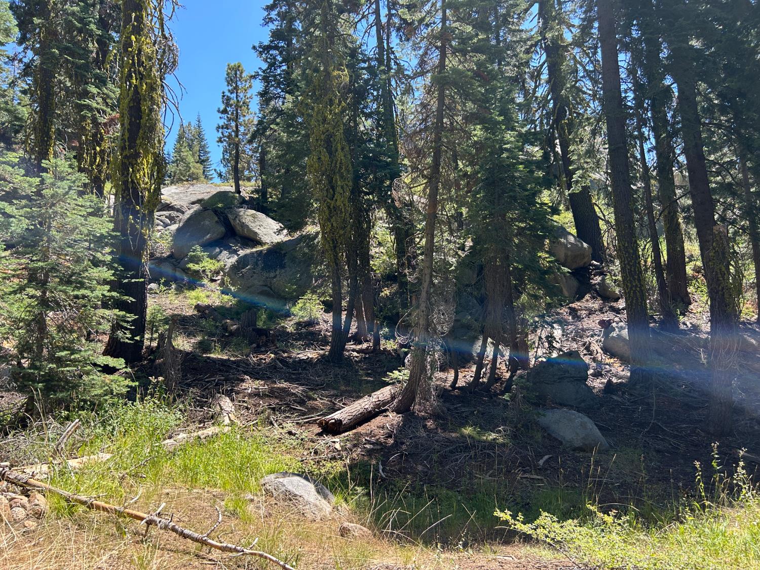 2 Blue Rock Trail, Unit 2 Arnold, CA 95223 - Photo 13 of 17