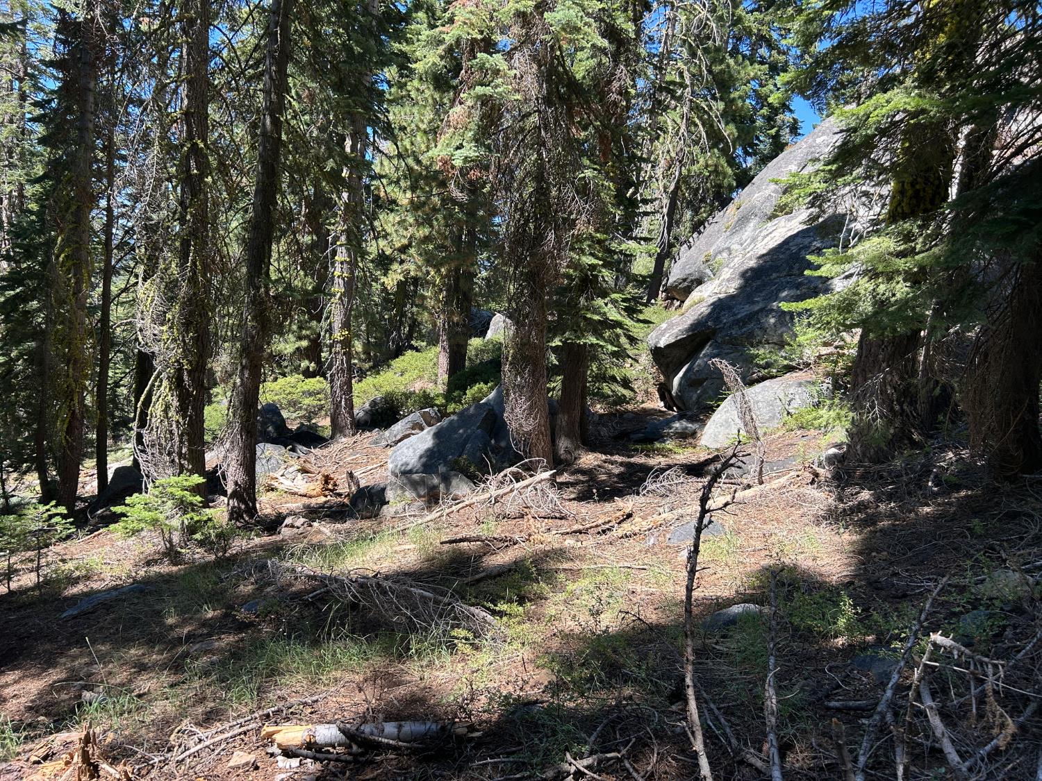 2 Blue Rock Trail, Unit 2 Arnold, CA 95223 - Photo 2 of 17