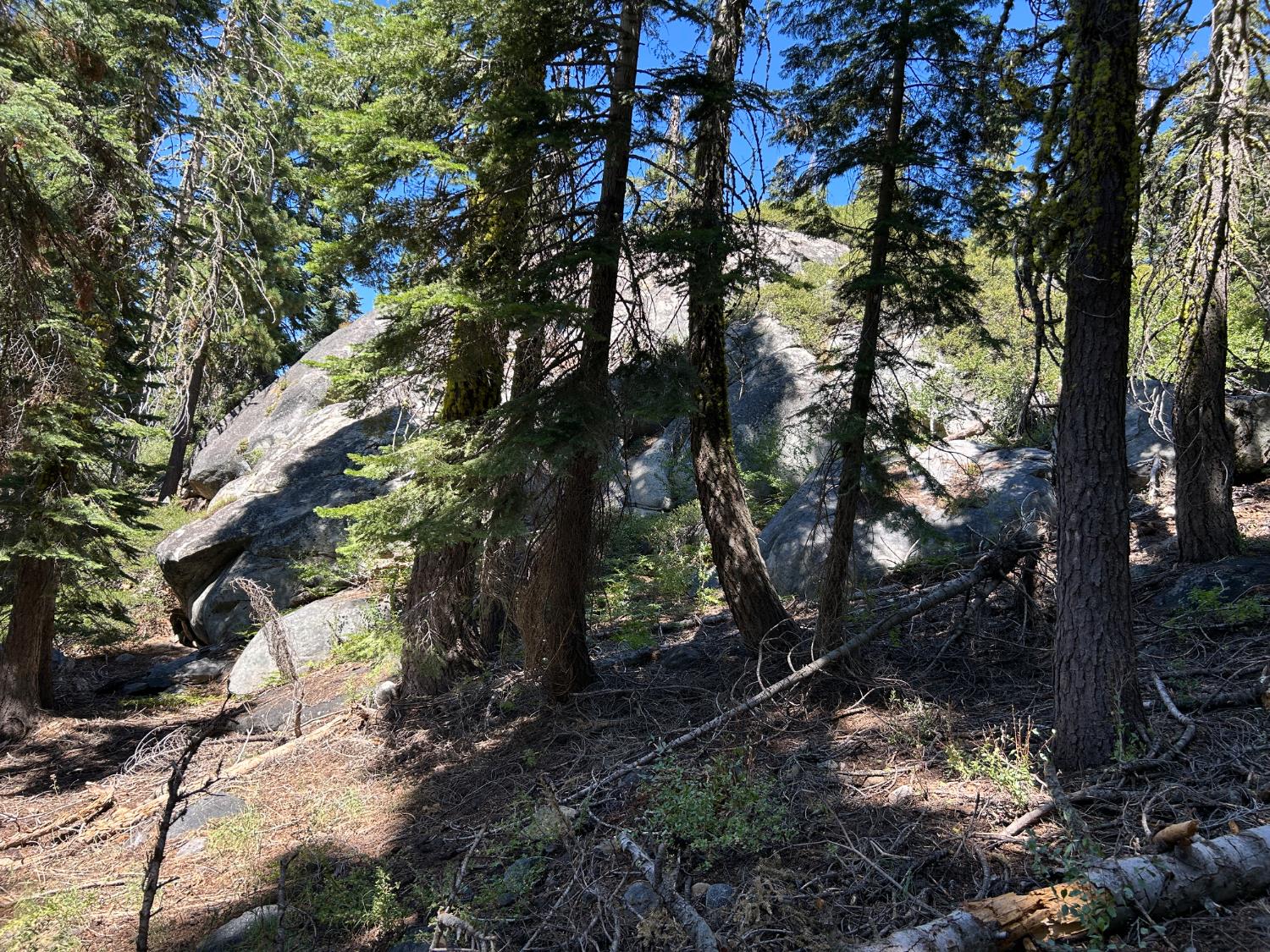 2 Blue Rock Trail, Unit 2 Arnold, CA 95223 - Photo 3 of 17