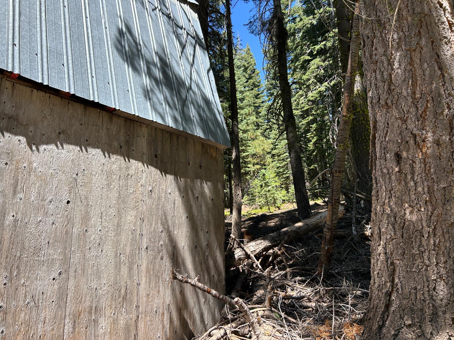 2 Blue Rock Trail, Unit 2 Arnold, CA 95223 - Photo 8 of 17