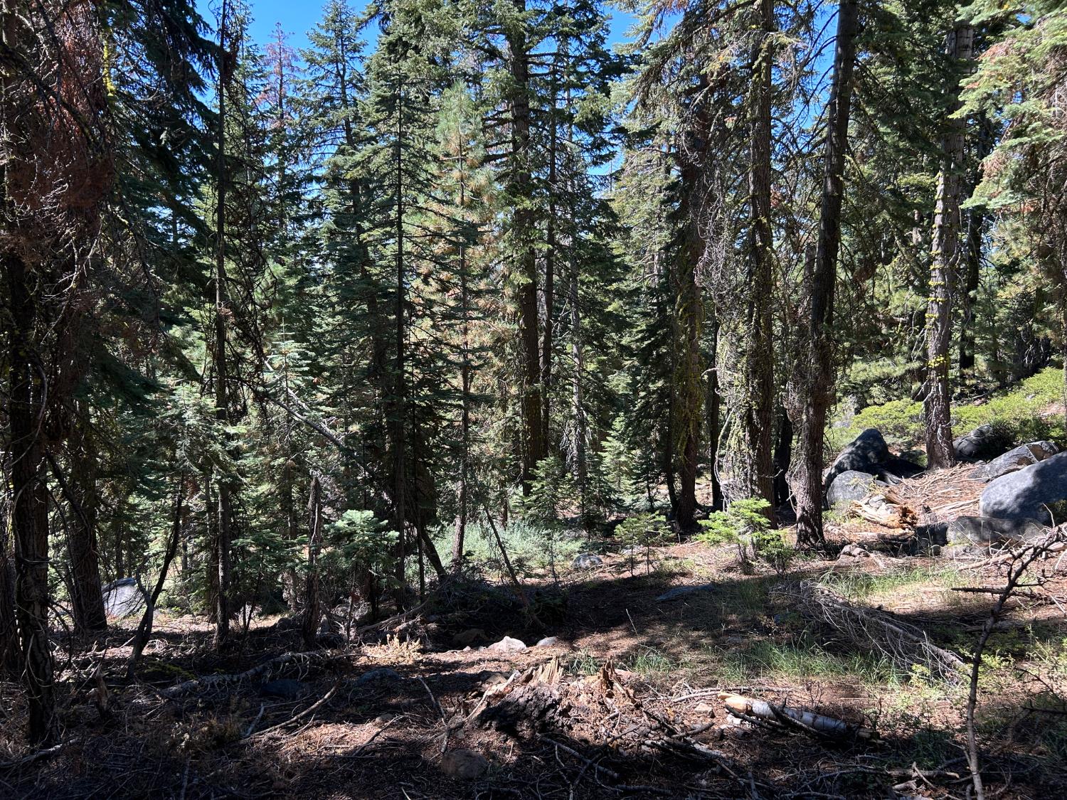 2 Blue Rock Trail, Unit 2 Arnold, CA 95223 - Photo 9 of 17