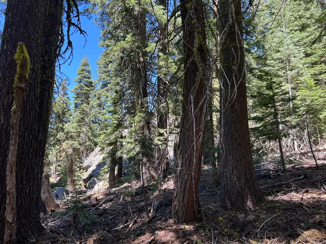 $55,000 | 2 Blue Rock Trail, Unit 2, Arnold, CA 95223