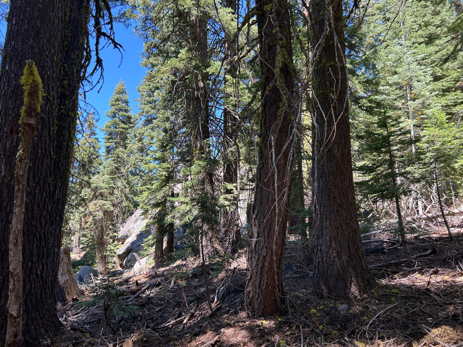 2 Blue Rock Trail, Unit 2 Arnold, CA 95223 - Photo 10 of 17