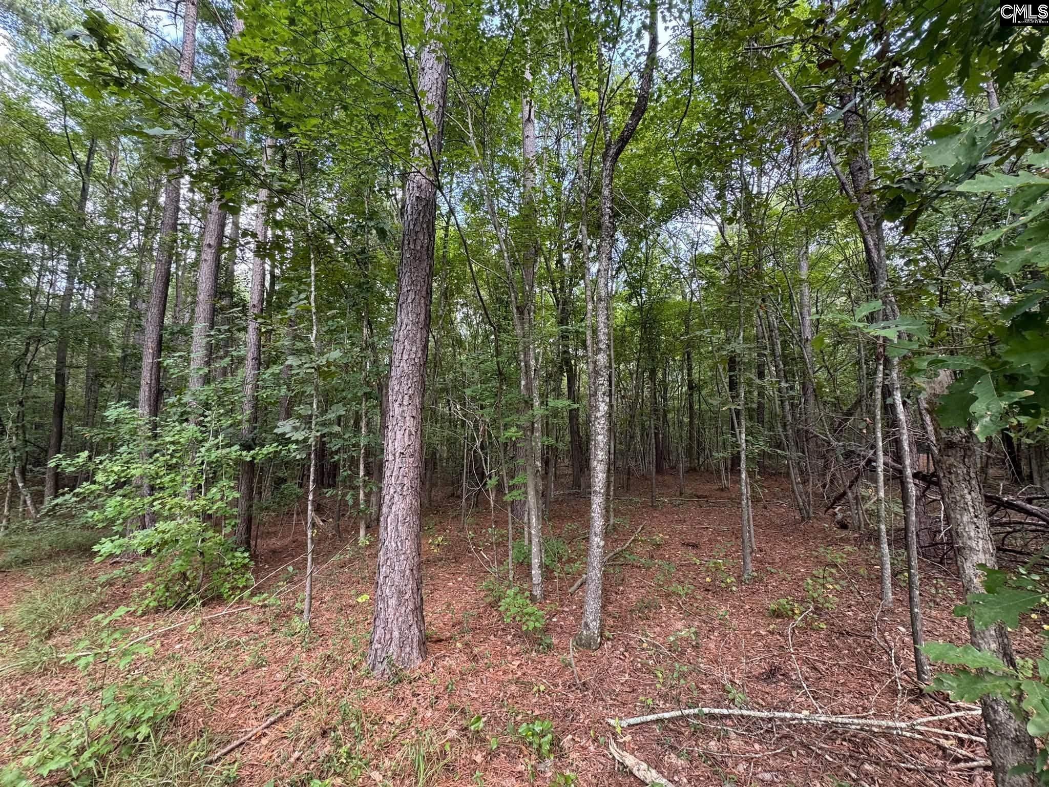 Pencreek Road Johnston, SC 29832 - Photo 43 of 59 Gallery Image 43
