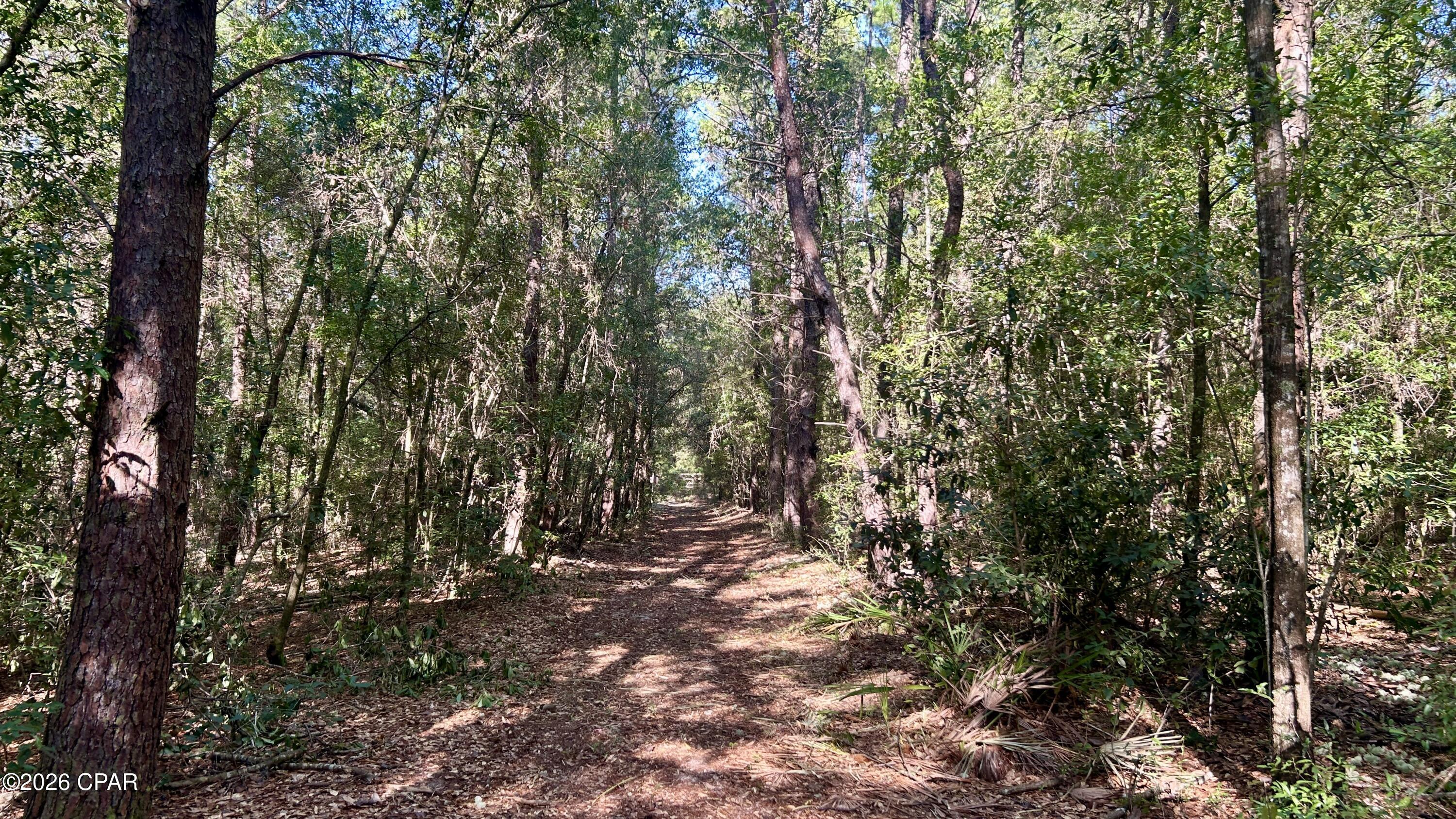 B Trawick Creek Road Holt, FL 32564 - Photo 18 of 27 Gallery Image 18