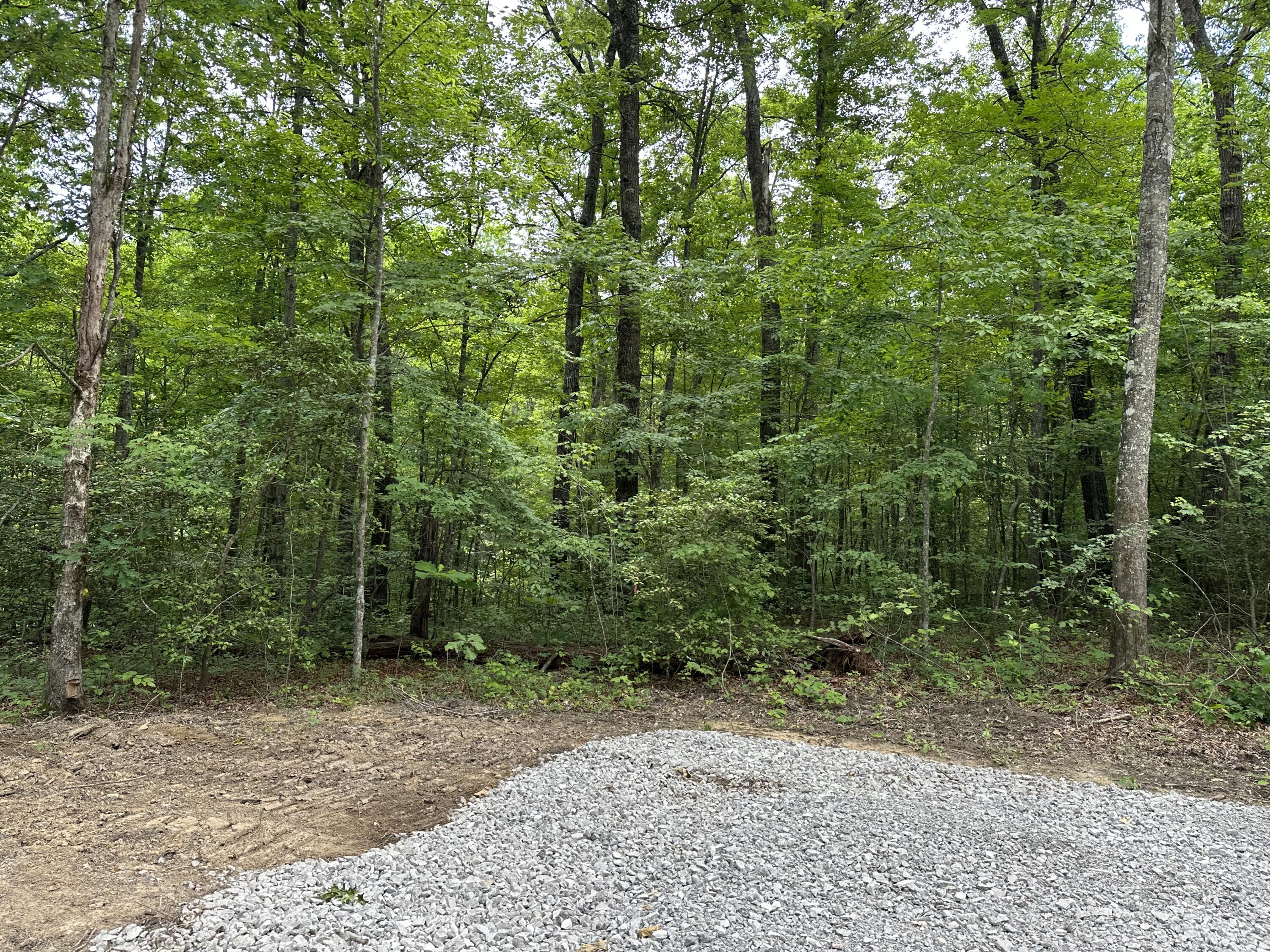 10 Bozeman Road Corbin, KY 40701 - Photo 23 of 30 IMG_6249