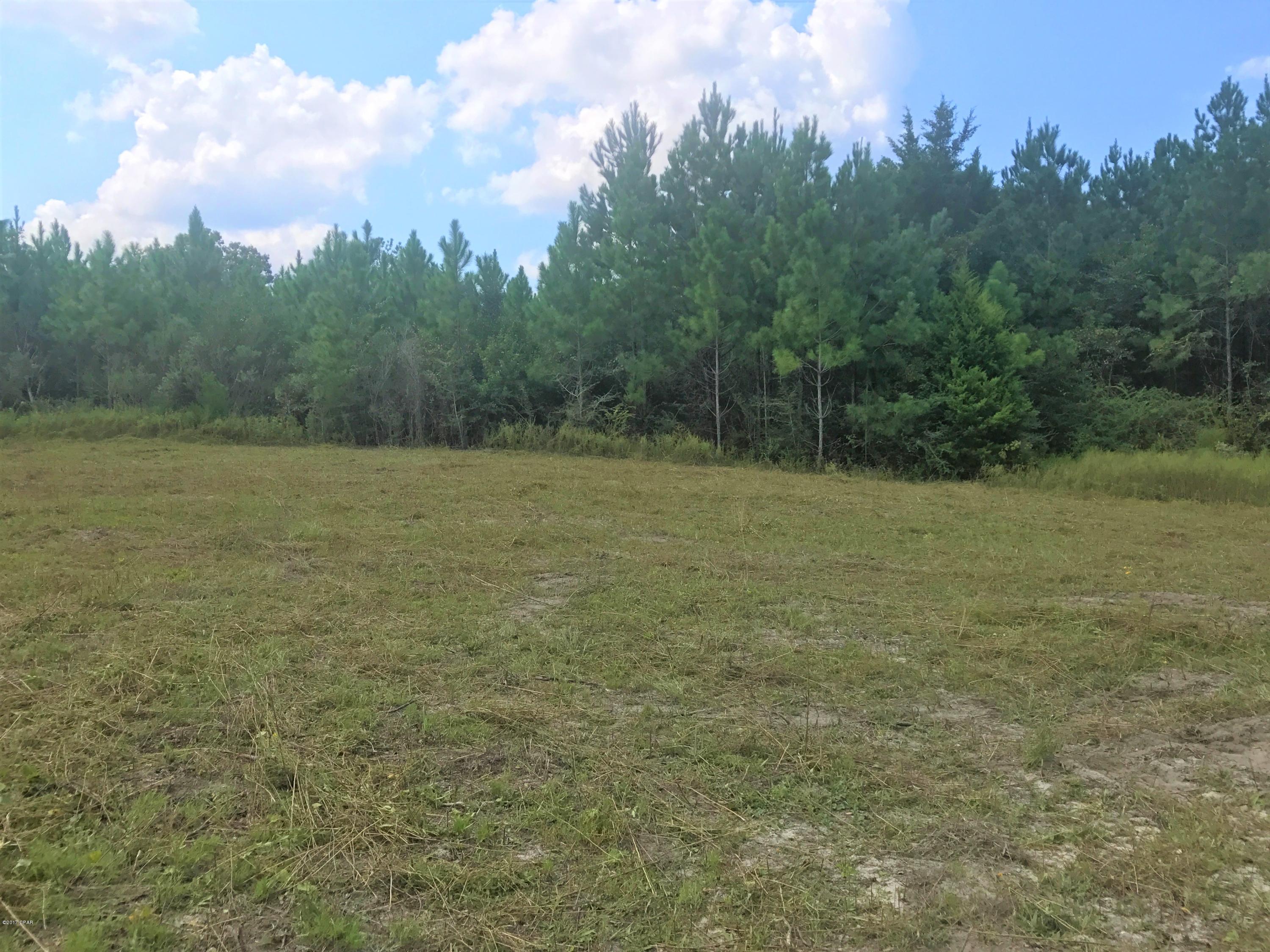 2981 Douglas Ferry Road Bonifay, FL 32425 - Photo 1 of 4 Gallery Image 1