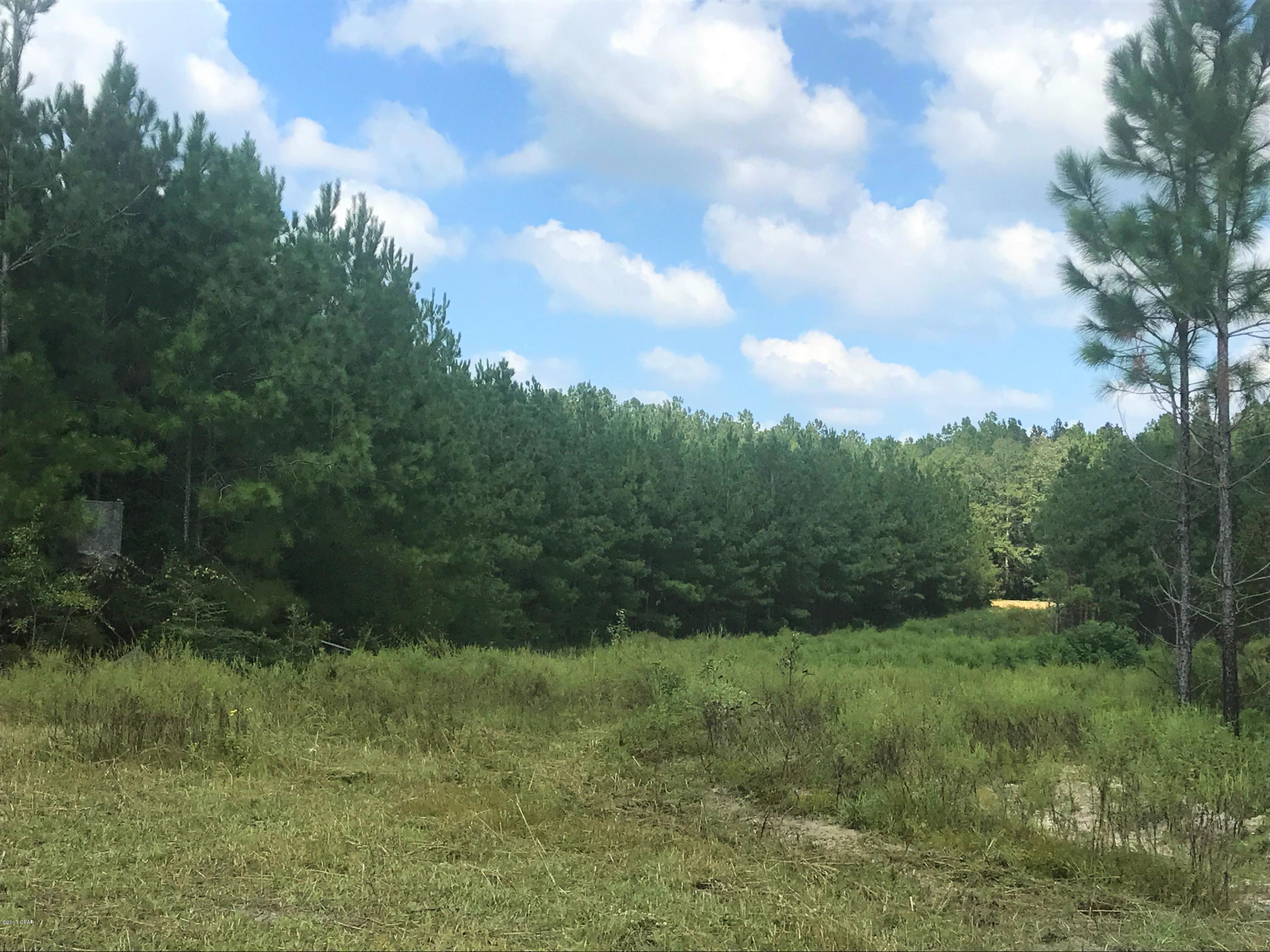 2981 Douglas Ferry Road Bonifay, FL 32425 - Photo 2 of 4 Gallery Image 2