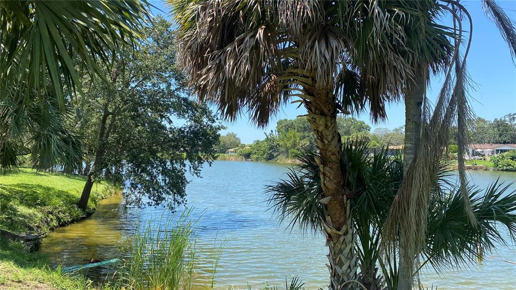 7624 Lake Forest Circle Port Richey, FL 34668 - Photo 25 of 27