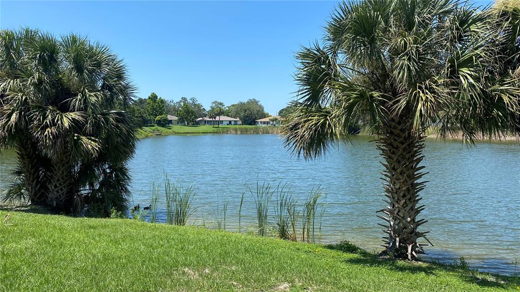 7624 Lake Forest Circle Port Richey, FL 34668 - Photo 26 of 27