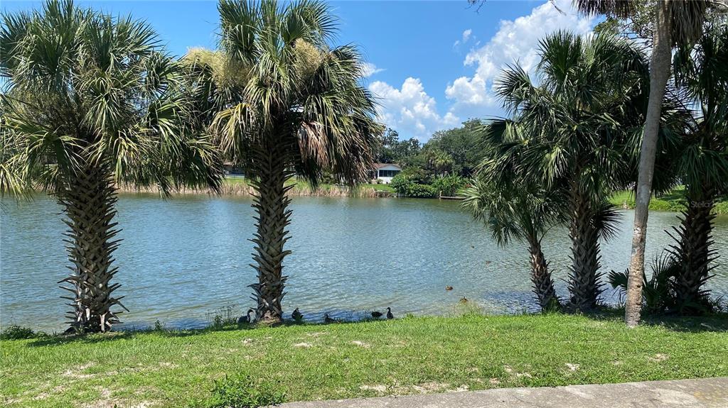 7624 Lake Forest Circle Port Richey, FL 34668 - Photo 27 of 27