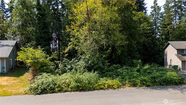 a view of a garden with plants