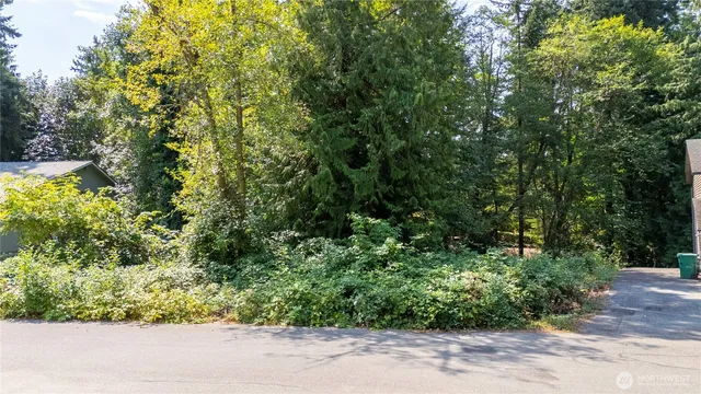 a view of a garden with plants