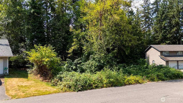 a view of a garden with plants