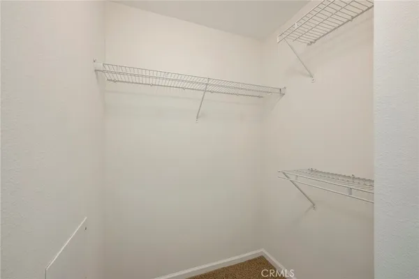 a outdoor space with patio the couches and a potted plant on the coffee table