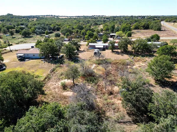 a view of a bunch of trees and bushes