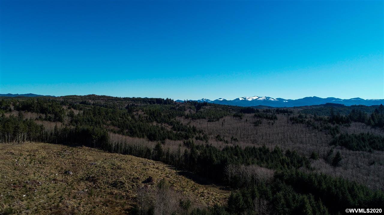 Old Netarts ( Tillamook, OR 97141 - Photo 2 of 16