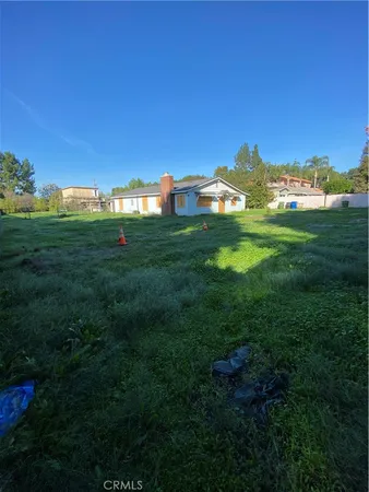 a view of a big yard with a large tree and a yard