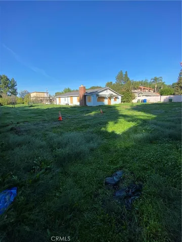 a view of a big yard with a large tree and a yard