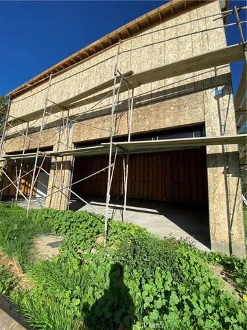 a backyard with plants